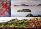 Coromandel Corners by sue graham